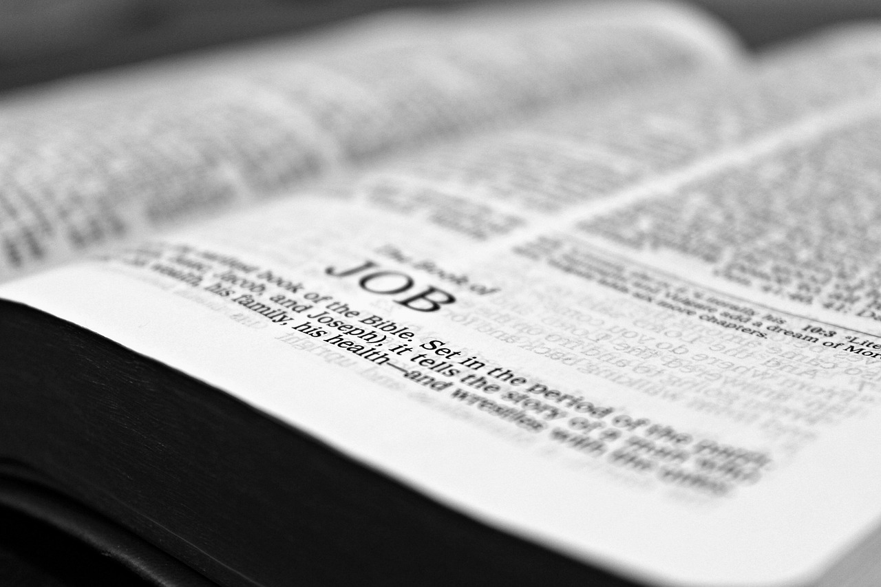 bible, job, reading-1322790.jpg